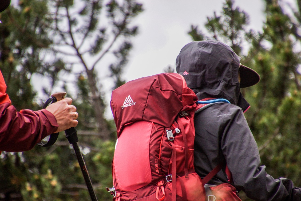 Deux randonneurs portant des vestes imperméables et des sacs à dos rouges, marchant dans une forêt dense sous un ciel nuageux