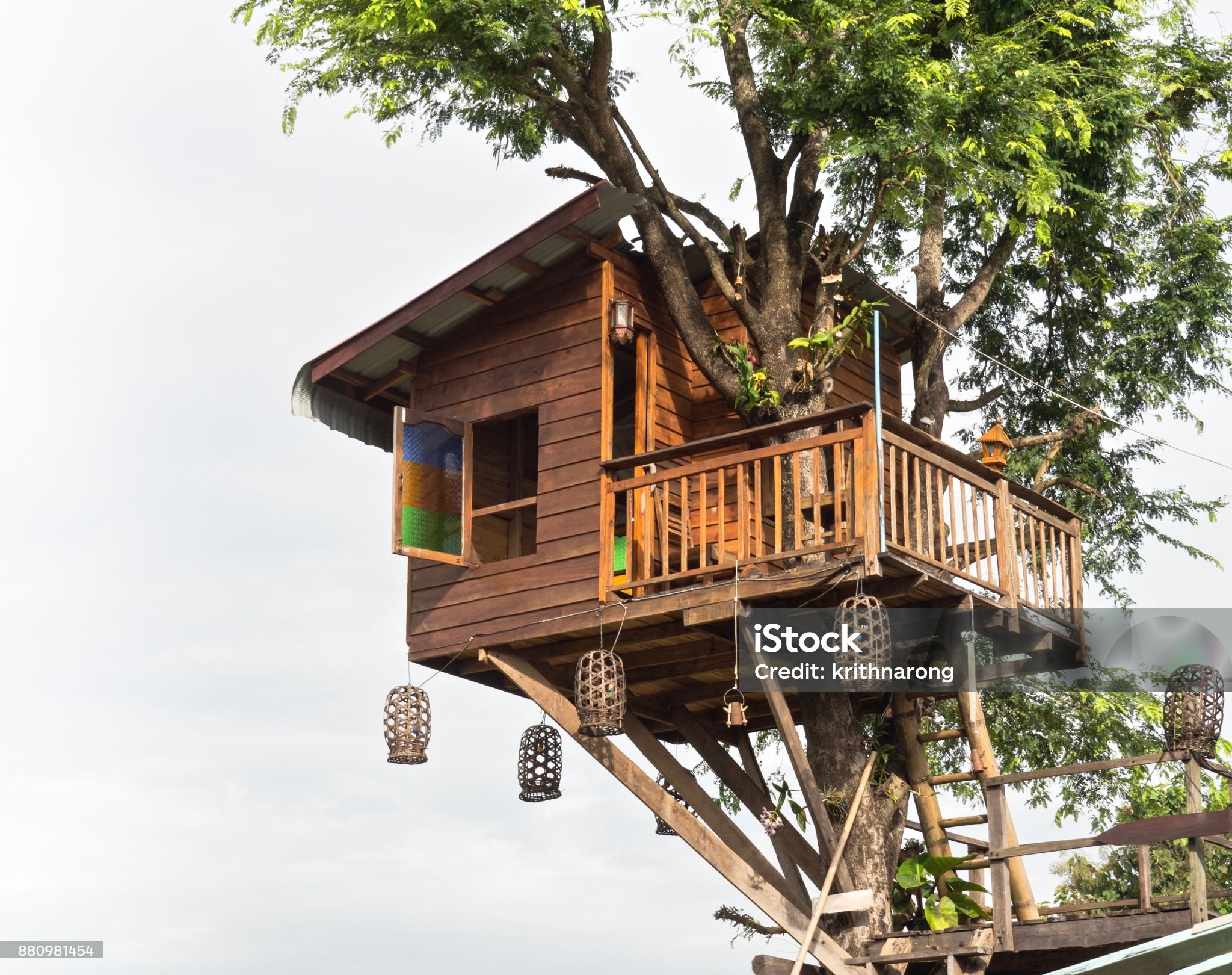 Cabane dans les arbres