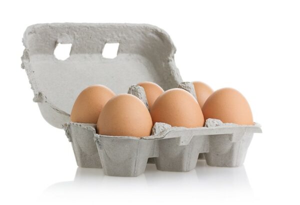 Oeuf